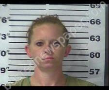 CHASITY FINCH | 2020-11-10 13:00:00 Gibson County, Tennessee Booking