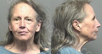FAWCETT,NANCY ELIZABETH | 2020-11-10 19:30:00 Saline County, Kansas Booking