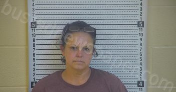 COX, TAMMY D | 2020-11-10 13:54:00 Taylor County, Kentucky Booking