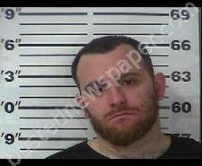 CHRISTOPHER LINFORD | 2020-11-10 20:24:00 Gibson County, Tennessee Booking