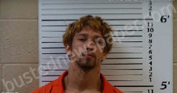 REED, ROBERT DEWAYNE | 2020-11-10 16:41:00 Cherokee County, North Carolina Booking