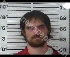 TIMOTHY YOUNG | 2020-11-11 06:19:00 Gibson County, Tennessee Booking