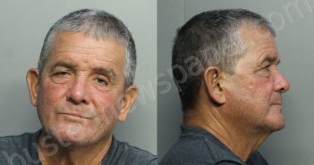 <B>DELGADO</B>, <B>JOSE</B> <B>IGNACIO</B> #, Miami-Dade County, Florida - 2020-11-11 16:00:00