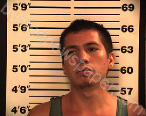 CAMPOZ, FRANCISCO #, Navarro County, Texas - 2020-11-12 21:08:00