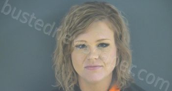 MCKEE, AMERAL SAVANAH NICOLE | 2020-11-12 18:00:00 Bedford County, Virginia Booking
