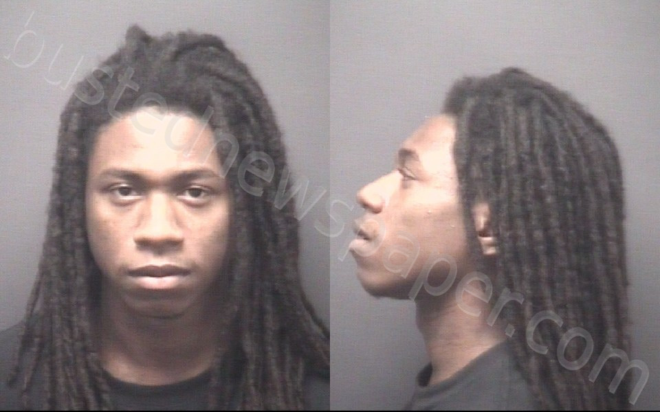 TYSON, DEVOSHIA KRESHUN #, Pitt County, North Carolina - 2020-11-13