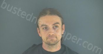 WALDRON, KENNETH RICHARD | 2020-11-13 14:21:00 Bedford County, Virginia Booking