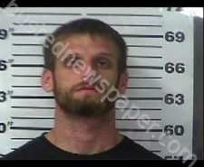 TRENTON KLIPPEL | 2020-11-13 02:12:00 Gibson County, Tennessee Booking