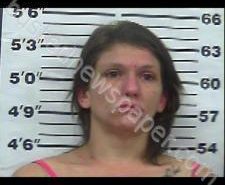 AMANDA COOK | 2020-11-13 02:07:00 Gibson County, Tennessee Booking