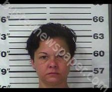 MINDY DILL | 2020-11-13 22:22:00 Gibson County, Tennessee Booking