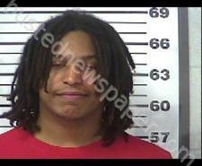 TROY TALL | 2020-11-13 17:00:00 Gibson County, Tennessee Booking