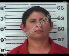 JORGE GARZON | 2020-11-13 18:34:00 Gibson County, Tennessee Booking