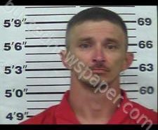 CHRISTOPHER WELLS | 2020-11-13 19:29:00 Gibson County, Tennessee Booking