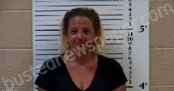 WHITAKER, KRISSTINA DIANE | 2020-11-13 11:47:00 Cherokee County, North Carolina Booking