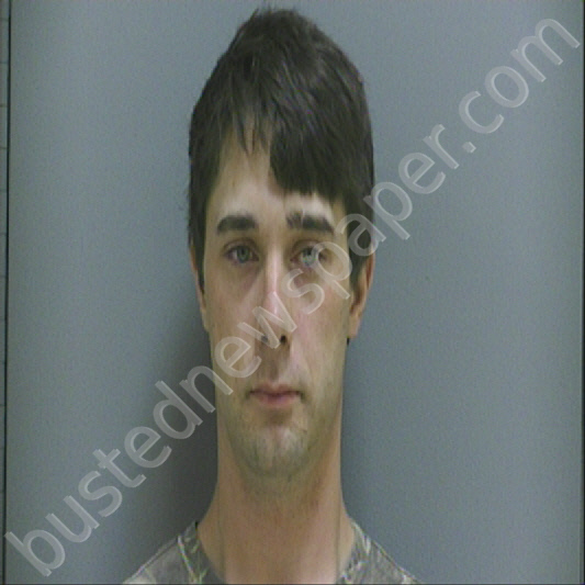 HOWLAND, DILLON ANTHONY #, Darlington County, South Carolina - 2020-11-13 15:01:00
