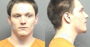 AYRES,DOMINICK PAUL | 2020-11-13 16:15:00 Saline County, Kansas Booking