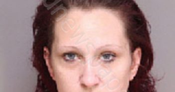 STOKES, KAYLA RENEE ROBINSON | 2020-11-14 15:11:00 Florence County, South Carolina Booking