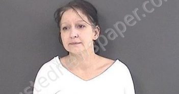 JOHNSON, SHELIA ANN | 2020-11-14 14:36:00 Roanoke County, Virginia Booking