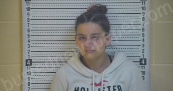 CLARK, TIFFANY | 2020-11-15 20:45:00 Taylor County, Kentucky Booking