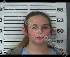 ASHLEY DAVIS | 2020-11-15 14:50:00 Gibson County, Tennessee Booking