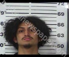 ALEXIS CAMPOS-ROMERO | 2020-11-15 00:12:00 Gibson County, Tennessee Booking