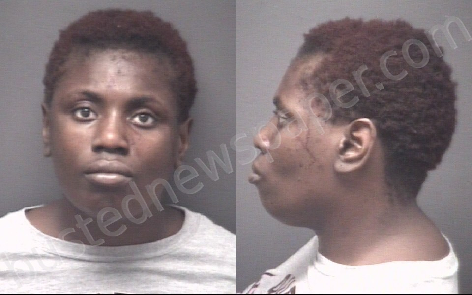 TURNER, KRISTINA SHAMIKA #, Pitt County, North Carolina - 2020-11-15