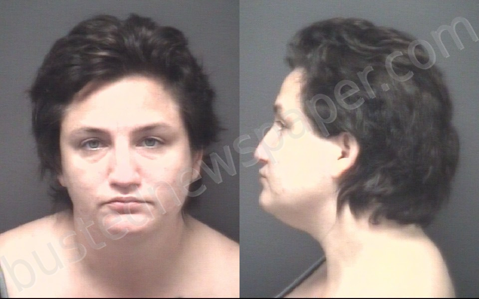WARREN, BRANDEE APRIL #, Pitt County, North Carolina - 2020-11-15
