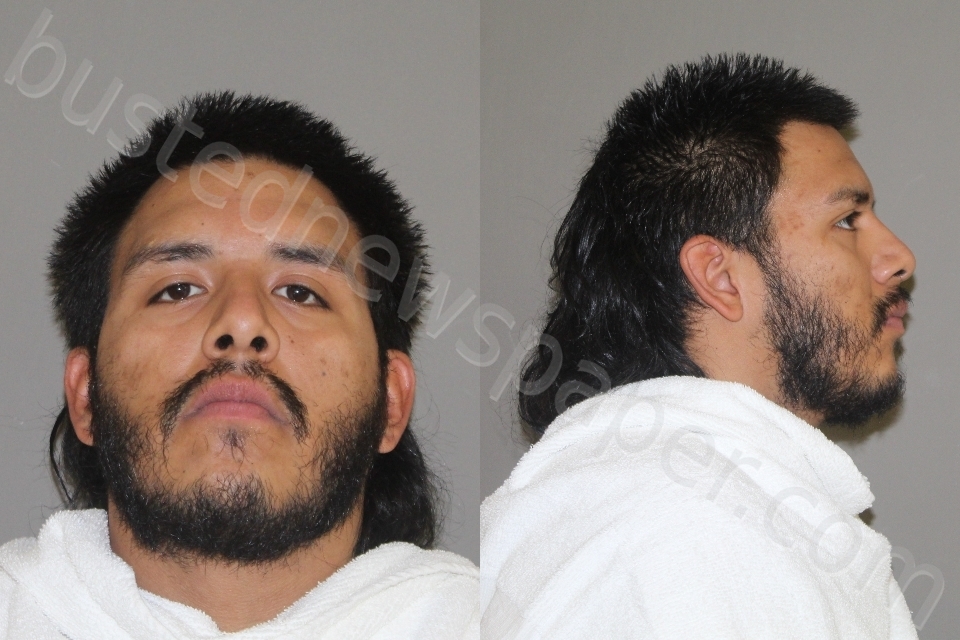 ZAVALA, LUIS ANGEL #, Denton County, Texas - 2020-11-15