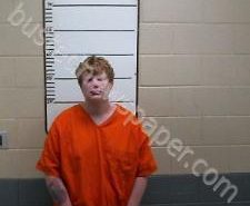 ROY BRIER | 2020-11-15 04:31:00 Morgan County, Tennessee Booking