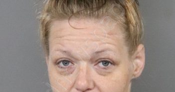HOLBROOKS, GINA ANNETTE | 2020-11-16 16:30:00 Anderson County, South Carolina Booking