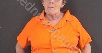 AYERS, DEBORAH LYNN | 2020-11-16 12:08:00 Roanoke County, Virginia Booking