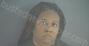 CRIDER, MICHELLE ANGELIQUE | 2020-11-16 15:55:00 Bedford County, Virginia Booking