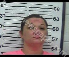 TIFFANY WALTERS | 2020-11-16 11:09:00 Gibson County, Tennessee Booking