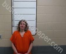 HEATHER EDWARDS | 2020-11-17 21:30:00 Morgan County, Tennessee Booking