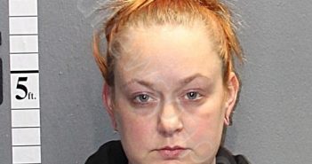 HAMILTON, SARAH ASHLYNN | 2020-11-17 17:14:00 Western Tidewater, Virginia Booking