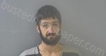 <B>HOLT</B>, <B>DERRICK</B> <B>ANTHONY</B> #, Greene County, Missouri - 2020-11-17 00:11:00