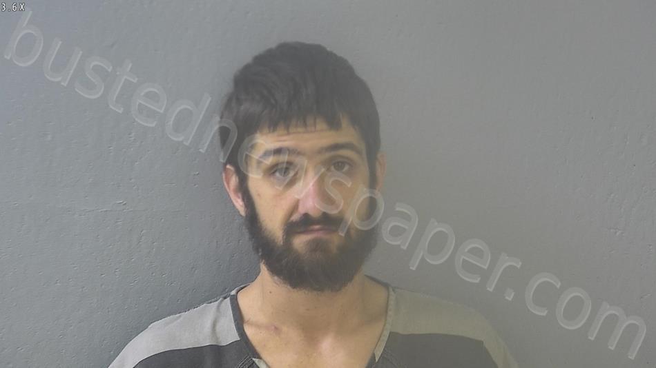 HOLT, DERRICK ANTHONY #, Greene County, Missouri - 2020-11-17 00:11:00