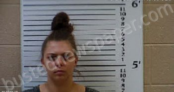 MUSE, HALEY C | 2020-11-17 14:30:00 Cherokee County, North Carolina Booking