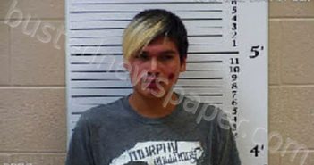 <B>HERNANDEZ</B> HERMOSO, <B>HECTOR</B> ALEJANDRO #, Cherokee County, North Carolina – mugshot, - 2020-11-17 23:53:00