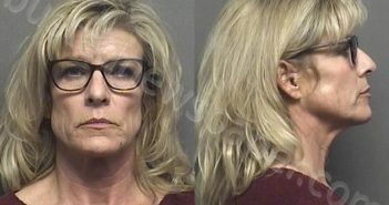 MCMAHON,ELIZABETH ANN | 2020-11-18 15:45:00 Saline County, Kansas Booking