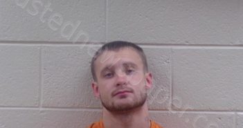 <B>WILSON</B>, <B>SEAN</B> MECHALE #, Pickens County, Georgia - 2020-11-18 19:07:00