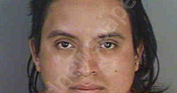 <B>LOPEZLOPEZ</B>,<B>NELSON</B> <B>MARROQUIN</B> #, Collier County, Florida - 2020-11-18