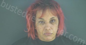 WELCH, REANNA DALE | 2020-11-20 17:19:00 Bedford County, Virginia Booking