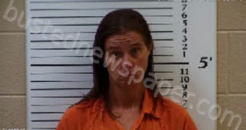 DAY, LUCILLE DIANE | 2020-11-20 17:15:00 Cherokee County, North Carolina Booking