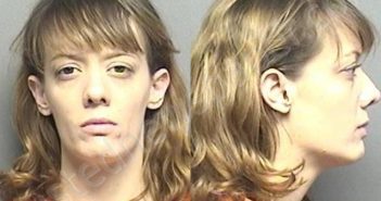 CONNELL,PAIGE ASHLEY | 2020-11-20 05:20:00 Saline County, Kansas Booking
