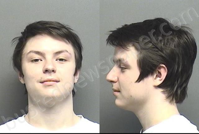 WAGGONER,ANDREW DAVID MICHAEL #, Saline County, Kansas - 2020-11-20 14:33:00