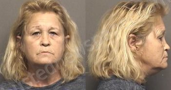 GUNDER,JANIS FAYE | 2020-11-20 05:30:00 Saline County, Kansas Booking