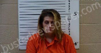 BRYSON, SAVANNAH MARIE | 2020-11-21 09:30:00 Cherokee County, North Carolina Booking