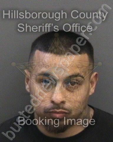 SANCHEZ,PAUL #, Hillsborough County, Florida - 2020-11-21 02:44:00