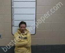 SARAH WATTS | 2020-11-21 13:29:00 Morgan County, Tennessee Booking